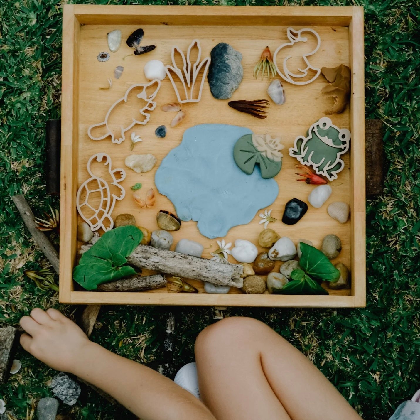 Pond Life Eco Cutter Set