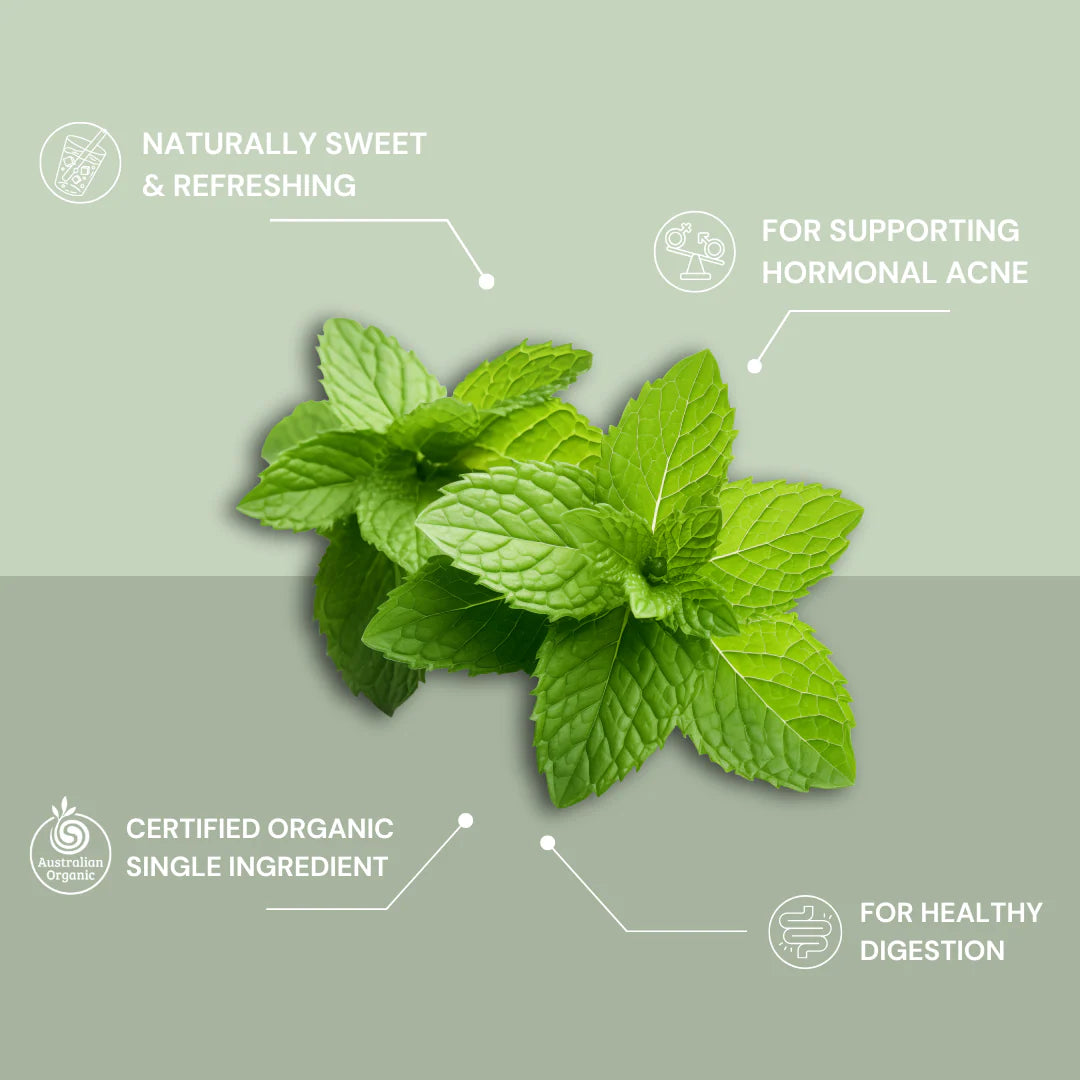 Spearmint 25 Teabags - Certified Organic