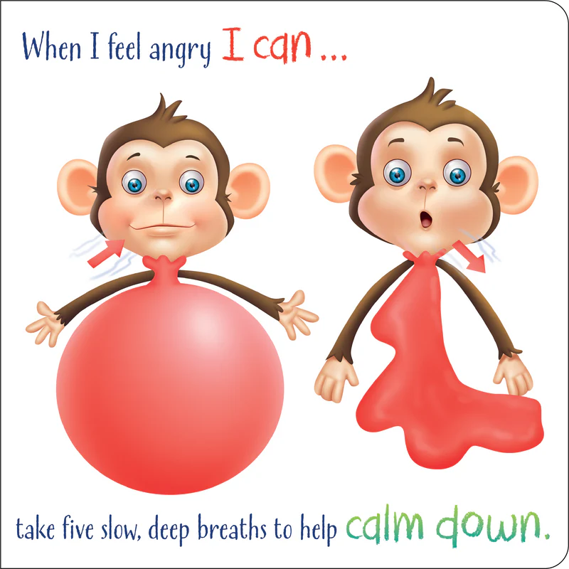 Sometimes I Feel Angry Book