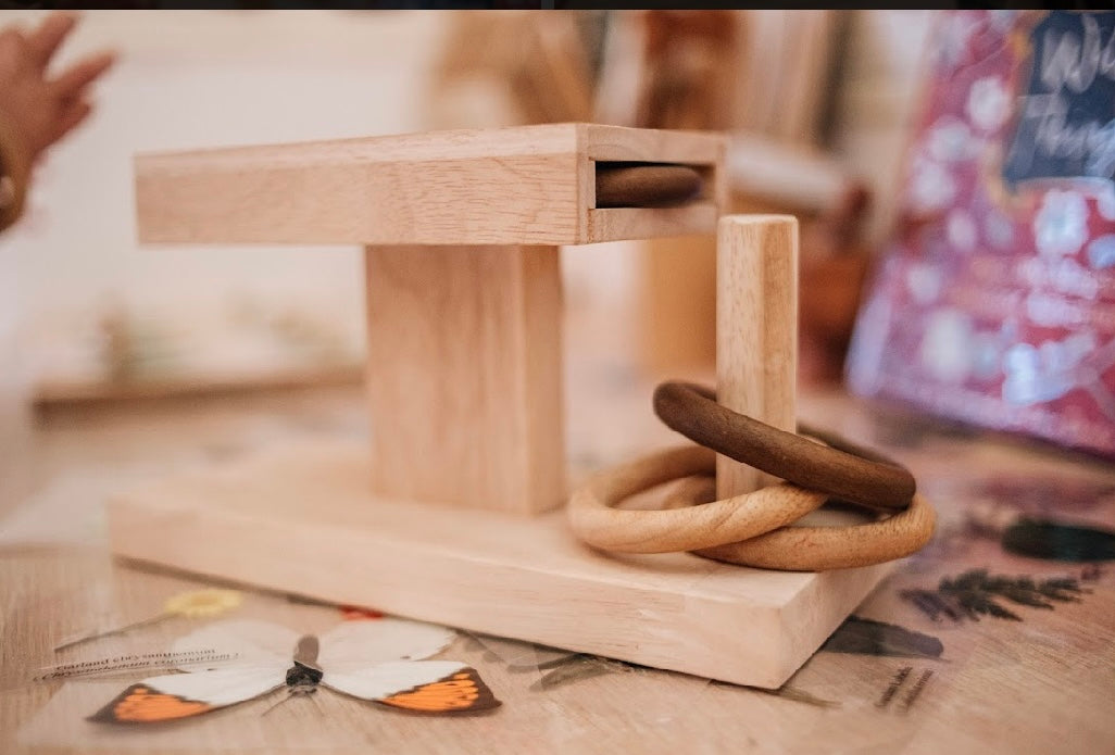 Montessori Ring Activity