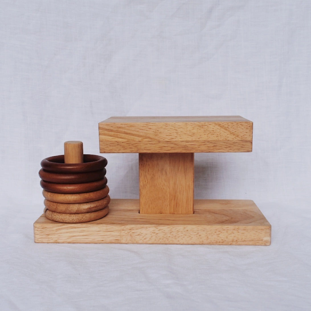 Montessori Ring Activity