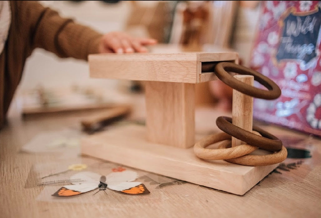 Montessori Ring Activity