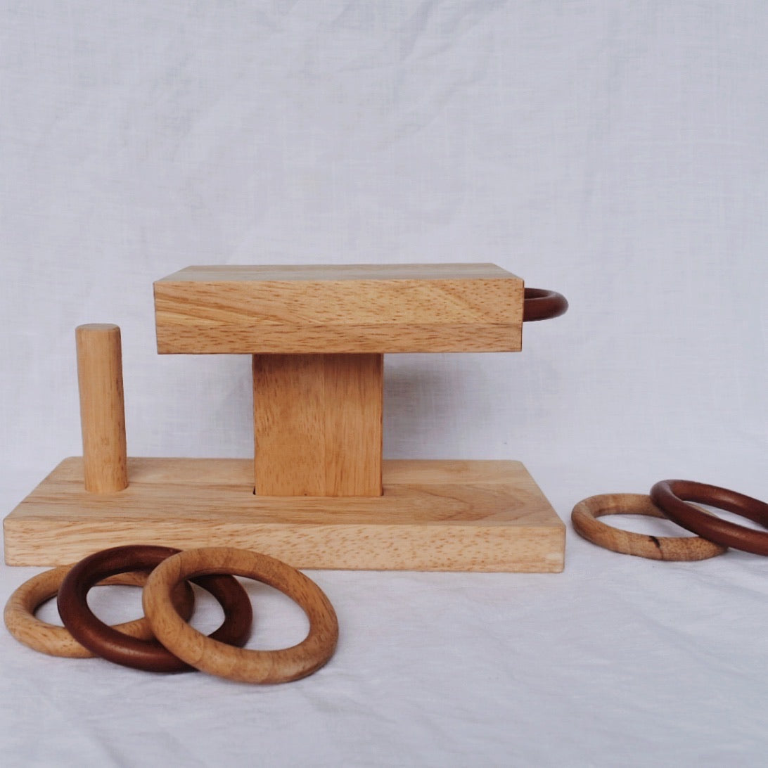 Montessori Ring Activity