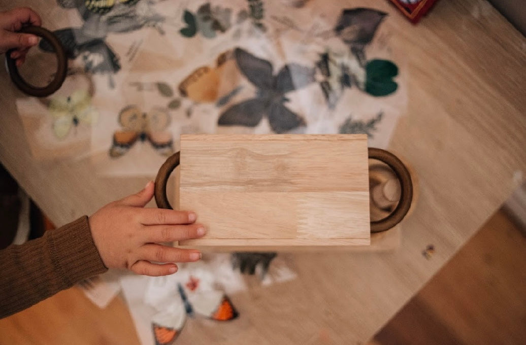 Montessori Ring Activity