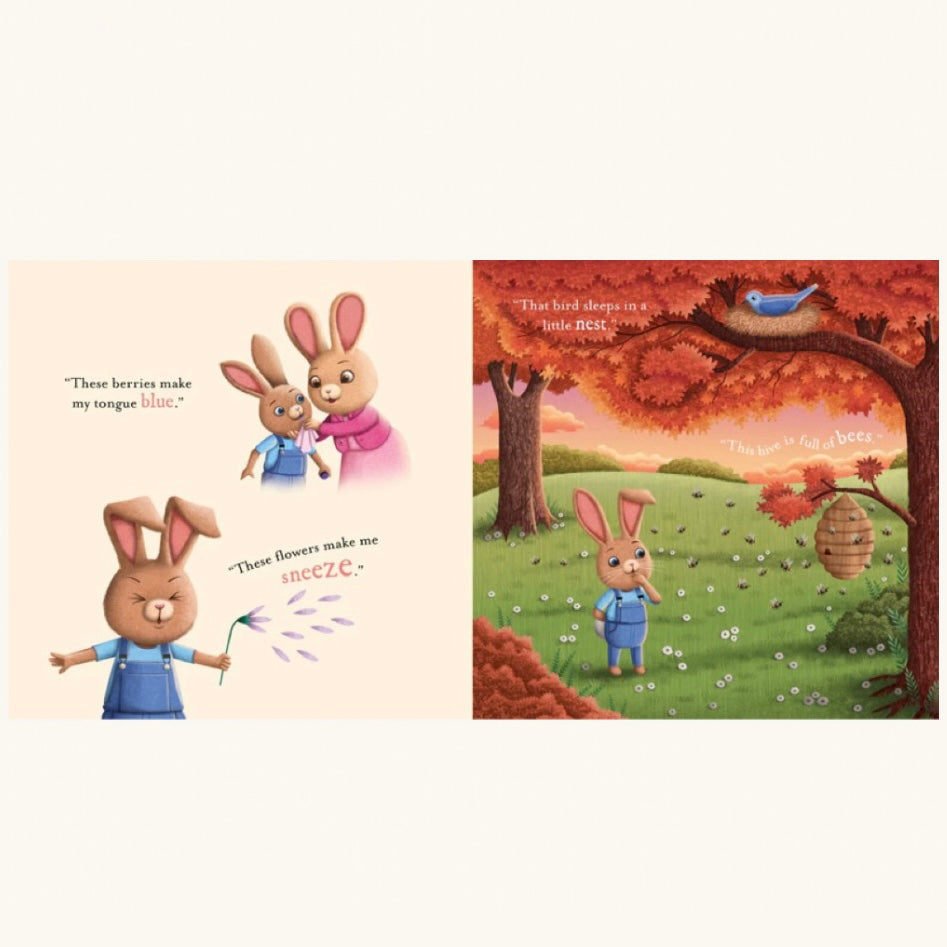 Do You Know How Much I Love You? - Padded Book