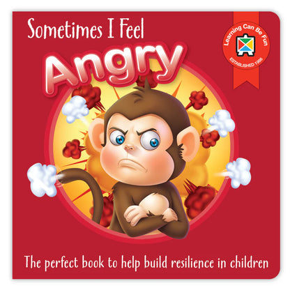 Sometimes I Feel Angry Book