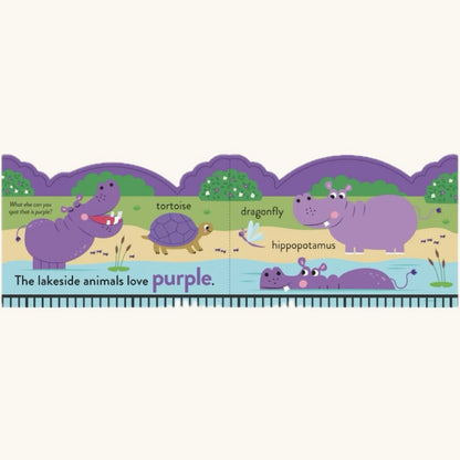 My First Colours- At the Zoo| Chunky Book