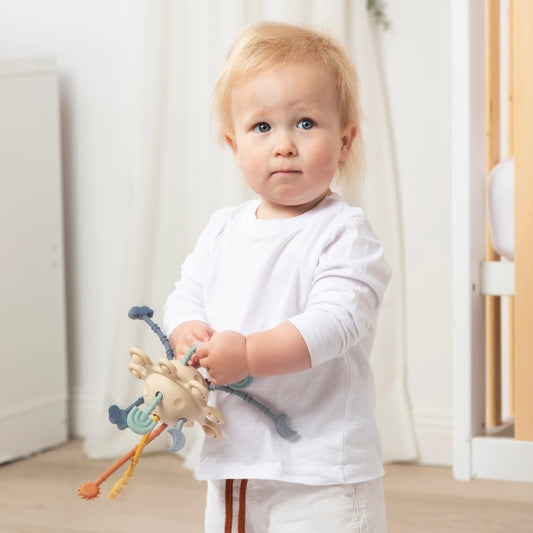 Pull String Interactive Toy