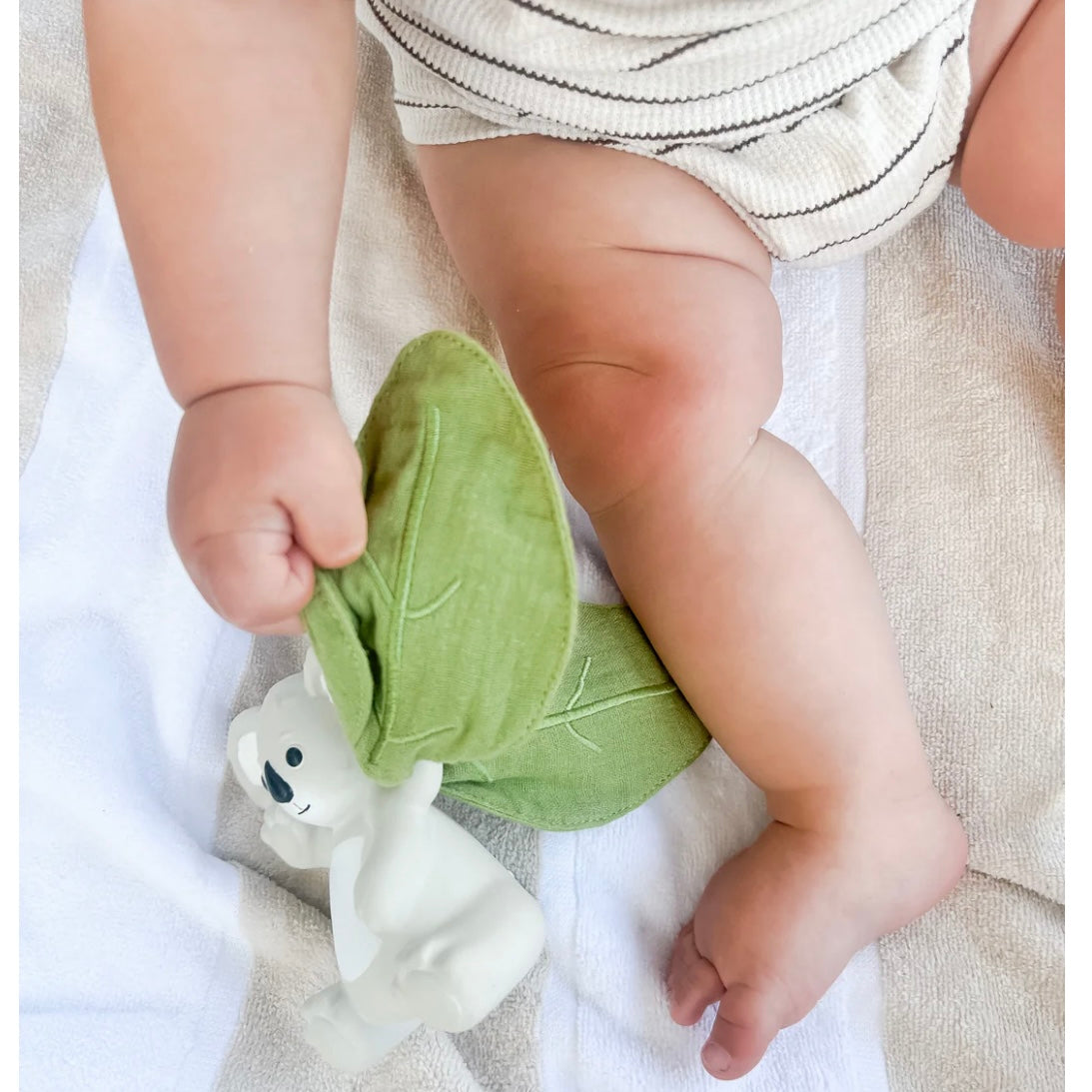 Banks the Koala Rattle & Scrunch