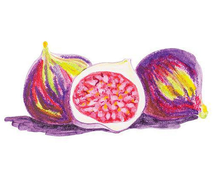 Slicks by Zart Colour Slicks Set of 12