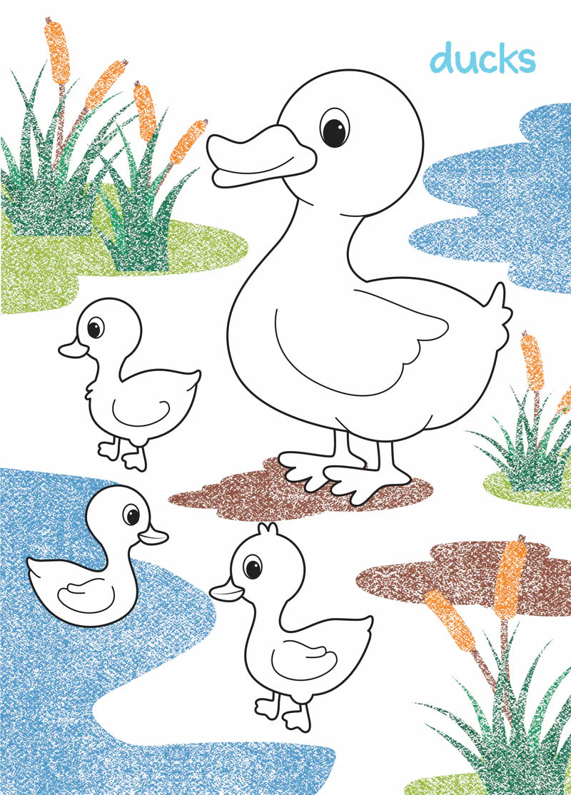 My First Colouring Book - Farm Animals