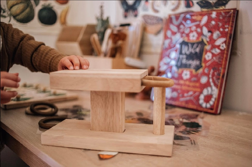 Montessori Ring Activity